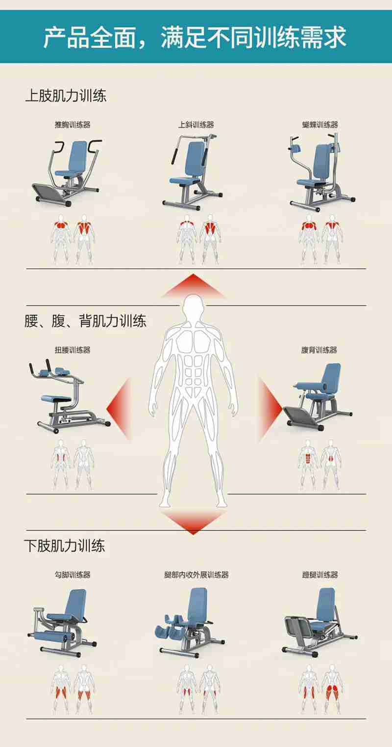 33356等速肌力训练系列：专为老年人打造的肌肉力量训练器